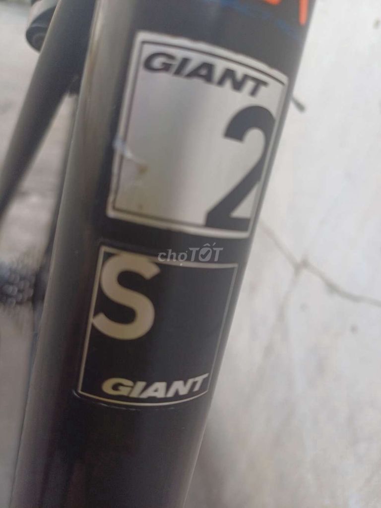 Cần ra đi giant SCR 2