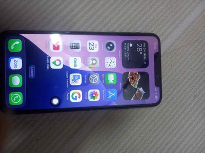 Apple iPhone 11 Pro Max Xám 69%