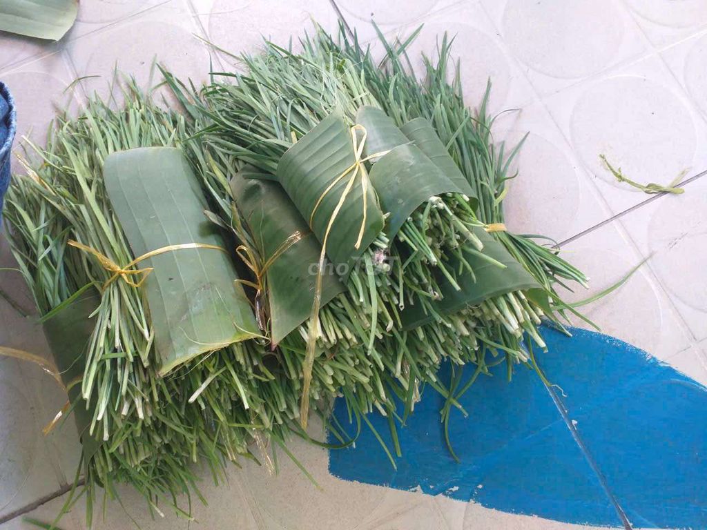 Rau sạch. Mua bán Đồ ăn, thực phẩm và các loại khác tại Quận 12 Tp Hồ Chí Minh được đăng bởi Chị Lanh hình 1