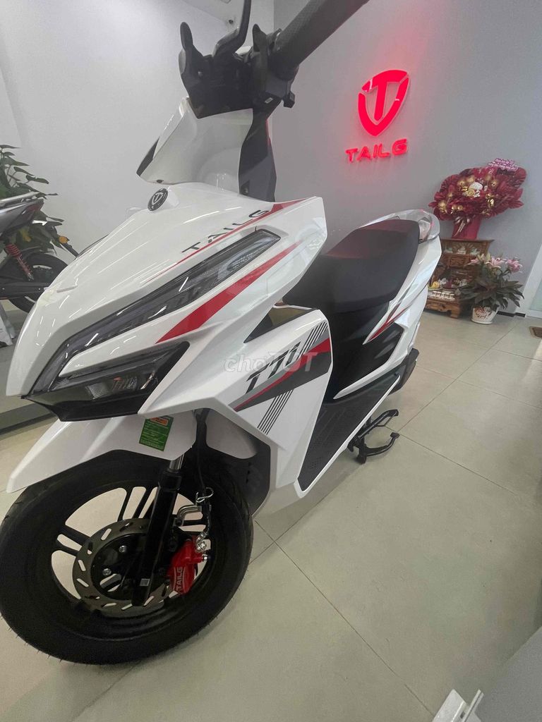 Tailg T71 Vario 2.000w mới 100%. Mua bán Xe điện tại Huyện Krông A Na Đắk Lắk được đăng bởi Đức hình 2