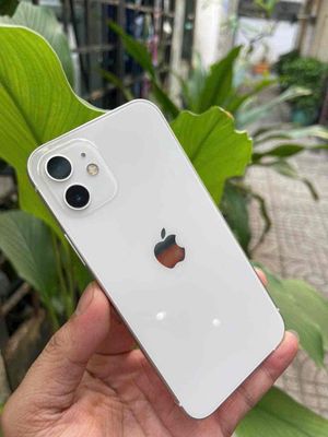 Iphone 12 quốc Tế đẹp 99% bảo hành 1 năm. Mua bán Điện thoại tại Quận 8 Tp Hồ Chí Minh được đăng bởi  Samsung Store Sài Gòn