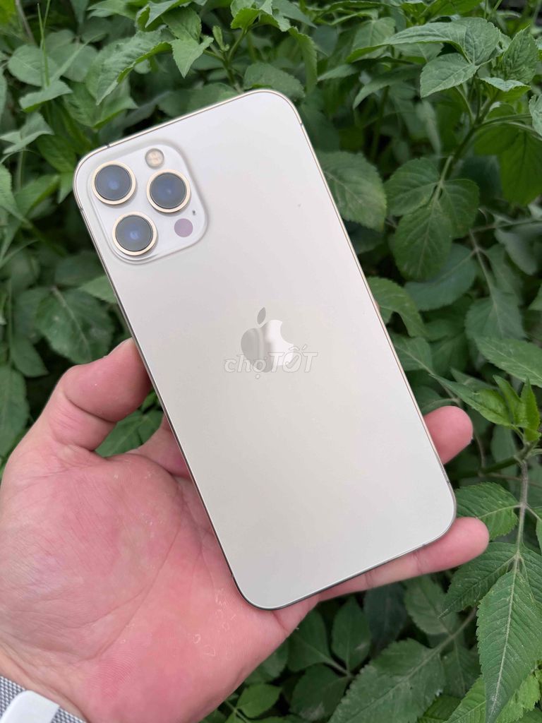 Apple iPhone 12 Pro Max 128GB Vàng. Mua bán Điện thoại tại Thành phố Đà Lạt Lâm Đồng được đăng bởi LỘC ĐÀ LẠT hình 1