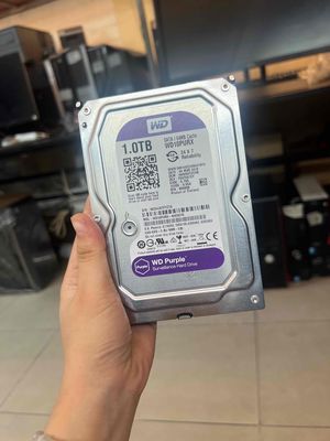Ổ CỨNG HDD 1TB WD TÍM CHUYÊN CAMERA. Mua bán Linh kiện (RAM, Card...) tại Quận Phú Nhuận Tp Hồ Chí Minh được đăng bởi tiến tài 770 nguyễn kiệm p4 quận phú nhuận