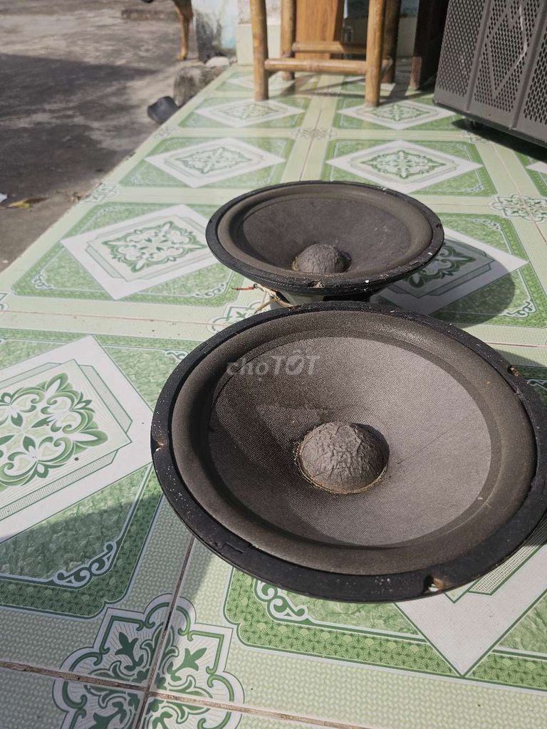 Loa bass 25 cm từ kép. Mua bán Tivi, Âm thanh tại Huyện Thăng Bình Quảng Nam được đăng bởi Bình Minh hình 1