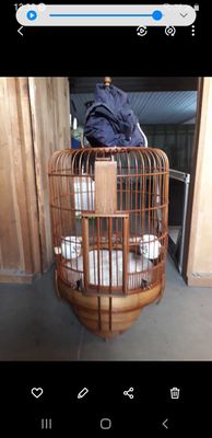 chim.hết còn lồng my mới