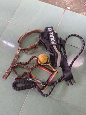 Còn ít phụ kiện cho chó ae gần xa cần ib. Mua bán Chó tại Thị xã Bến Cát Bình Dương được đăng bởi Tony Nguyen