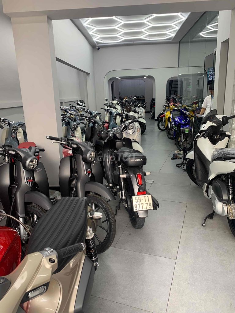 Tuyển 1 kế toán cho SHOWROOM xe máy