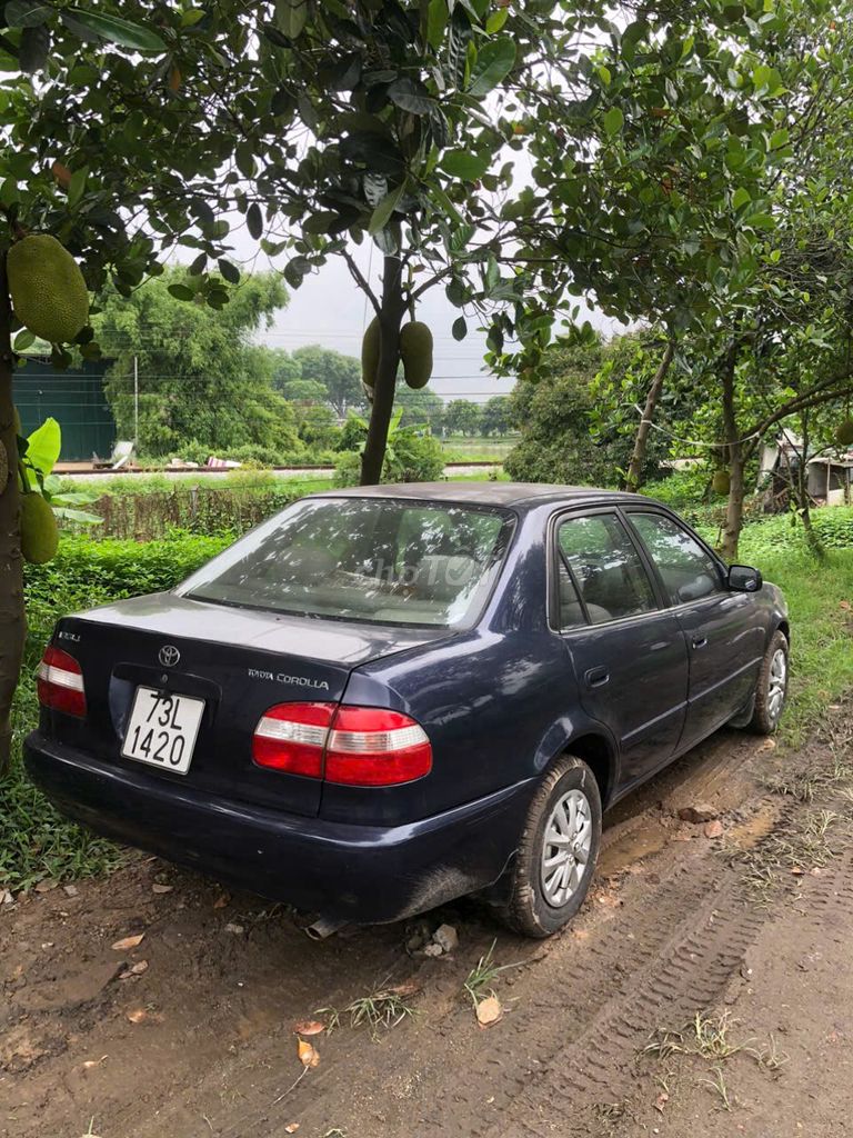 Ảnh số 5