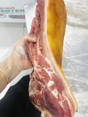 chả mực nhà làm,sữa chua nhà làm 5vị,heo f1. Mua bán Đồ ăn, thực phẩm và các loại khác tại Quận Bình Tân Tp Hồ Chí Minh được đăng bởi Đặng Thị Lan Anh