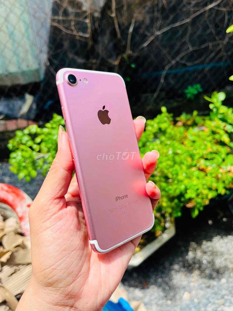 Apple iPhone 7 32GB Hồng. Mua bán Điện thoại tại Huyện Hòa Thành Tây Ninh được đăng bởi LyLy hình 1