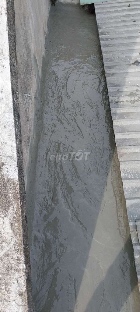 Chuyên chống thấm, chống dột. Dịch vụ tại Thành phố Dĩ An Bình Dương được đăng bởi nhân dương hình 1