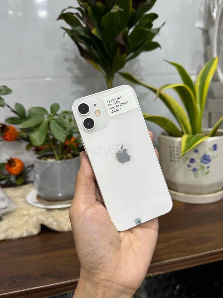 Phone 12 Mini 64GB Quốc tế Trắng P100 Đẹp 99. Mua bán Điện thoại tại Huyện Hóc Môn Tp Hồ Chí Minh được đăng bởi Nguyễn Thu hình 1
