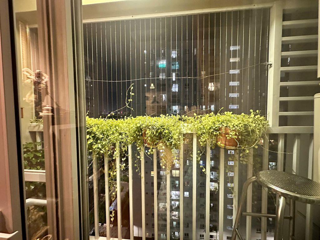 Cần Bán Căn Hộ Tara Residence Tạ Quang Bửu P6 Q8 số 1A, Tạ Quang Bửu, Phường 6, Quận 8, Tp Hồ Chí Minh Quận 8 Tp Hồ Chí Minh