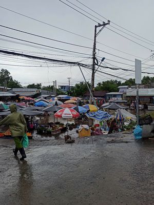 Hậu Giang/Cần Thơ, gần 2000m2,nhà vườn, gần trường,chợ chỉ 1ty290tr TL. Mua bán nhà ở tại Huyện Phụng Hiệp Hậu Giang được đăng bởi THỊNH VÕ