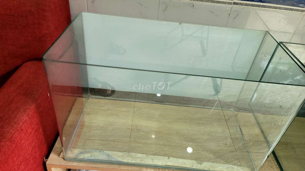 Thanh lý 4 hồ cá. Mua bán Phụ kiện, Thức ăn, Dịch vụ tại Thành phố Thủ Đức Tp Hồ Chí Minh được đăng bởi Sang hình 1