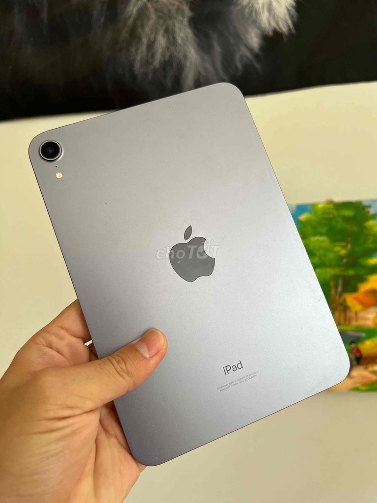 IPAD mini 6 64 gb Mỹ BH -T6/2025