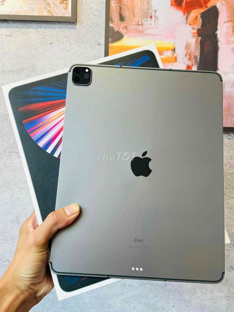 iPad Pro 12.9" M1 256G 5G Grey 99.99% - Oder USA