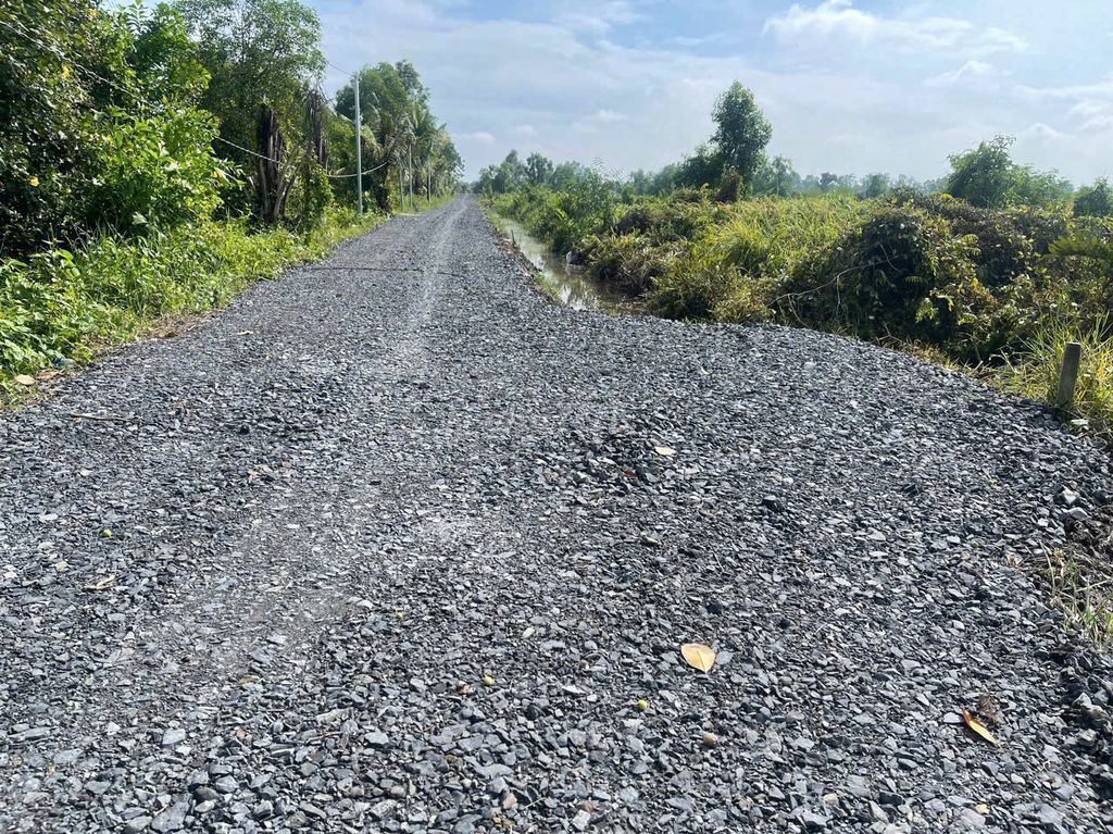 1000m2 vườn F0 view kênh đg xe tải quay đầu, điện nước vào tới đất. Mua bán đất tại Huyện Bến Lức Long An được đăng bởi phan Hoa hình 4