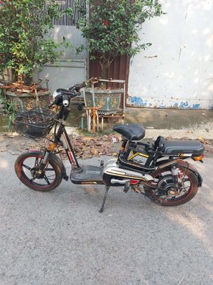 Bán xe đạp điện như hình đang sử dụng