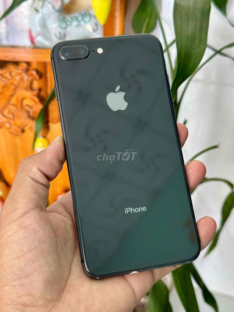 iPhone 8 Plus 256GB Đen Đã sử dụng. Mua bán Điện thoại tại Thị xã Duyên Hải Trà Vinh được đăng bởi Chợ ĐT Giá Tốt hình 1