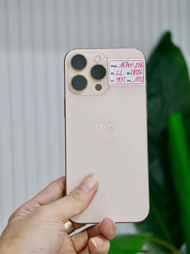 iPhone 16 Pro Max 256GB Samac P100% bh 8/2026. Mua bán Điện thoại tại Quận Đống Đa Hà Nội được đăng bởi Quý Hoàng hình 1