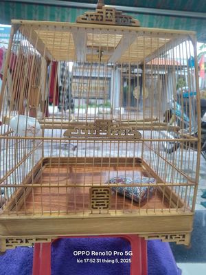 Hàng mới mua dư dùng thanh lý bán lổ. Mua bán Phụ kiện, Thức ăn, Dịch vụ tại Huyện Hóc Môn Tp Hồ Chí Minh được đăng bởi Tung Henri