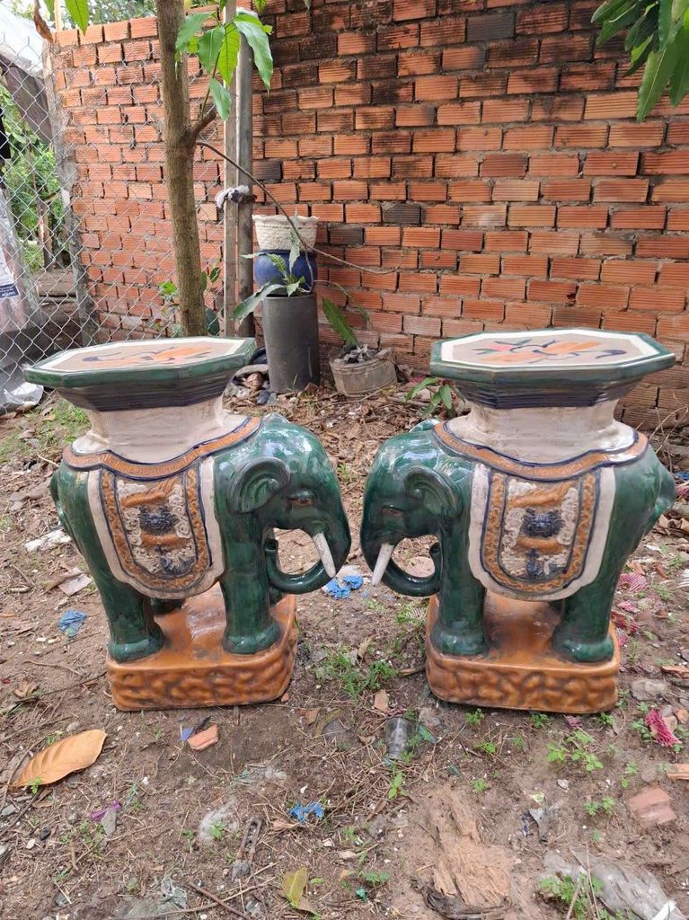 cặp voi trọc to đẹp