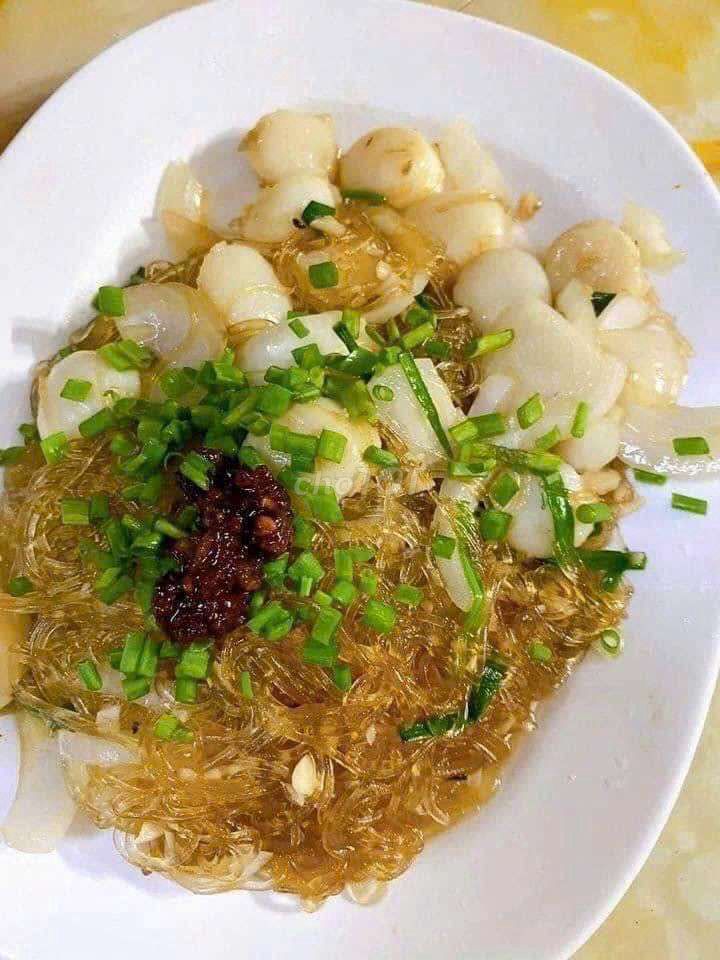 CÒI SÒ ĐIỆP (  NHẬT )