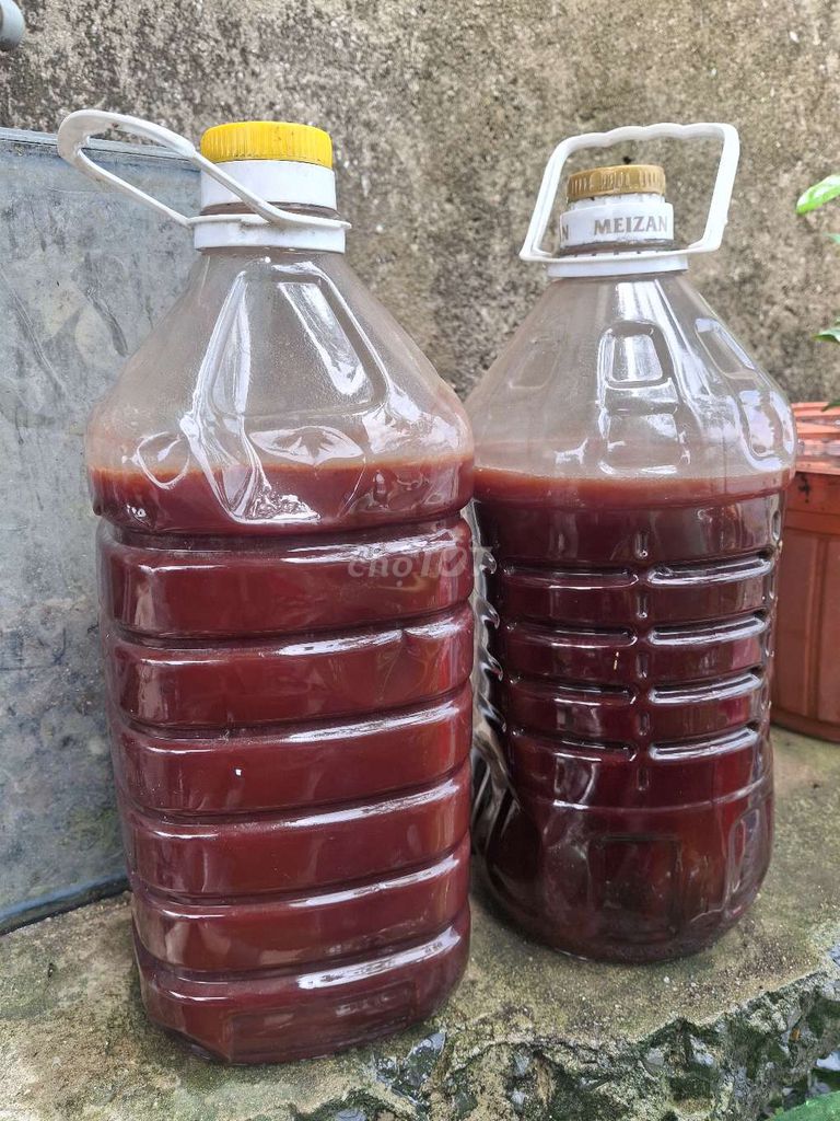 Vi sinh hồ cá 8 lít làm trong nước. Mua bán Phụ kiện, Thức ăn, Dịch vụ tại Quận Bình Tân Tp Hồ Chí Minh được đăng bởi Trần Hiếu hình 1