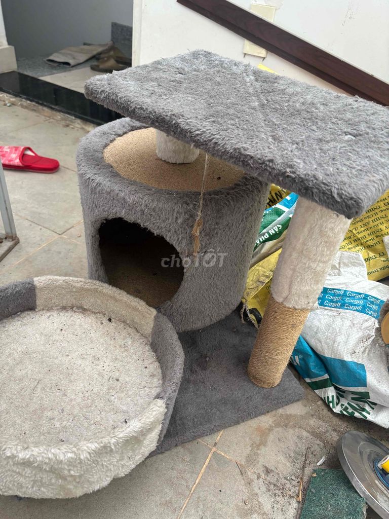 Nhà cho mèo vải lông xám cào móng. Mua bán Phụ kiện, Thức ăn, Dịch vụ tại Thành phố Thủ Đức Tp Hồ Chí Minh được đăng bởi Vinh Khánh hình 1
