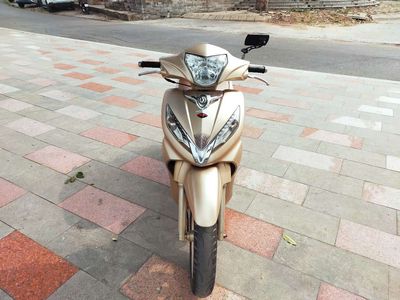 Bán Sh Shark 150i Đời cao hai phanh đĩa Zin Chất. Mua bán Xe máy tại Quận Lê Chân Hải Phòng được đăng bởi Ngà