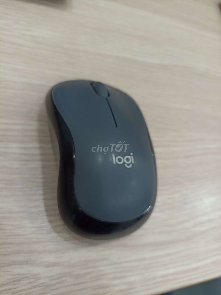 Chuột Logitech silent