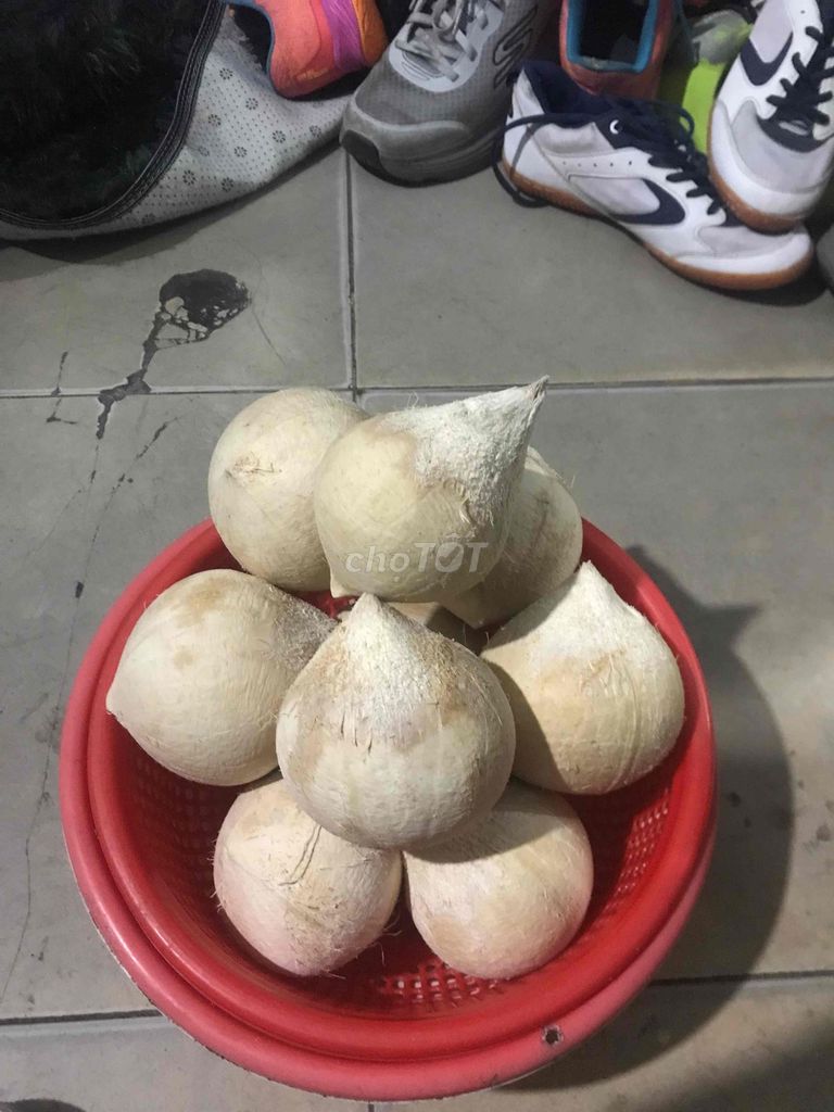 Nước dừa tươi. Mua bán Đồ ăn, thực phẩm và các loại khác tại Quận Cẩm Lệ Đà Nẵng được đăng bởi Lê Cường hình 1