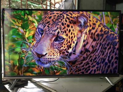tv TCL 43 inch 4k giọng nói bluetooth. Mua bán Tivi, Âm thanh tại Thành phố Bến Tre Bến Tre được đăng bởi Khang