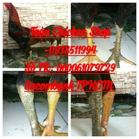 Toàn Chicken Shop - 0938511994