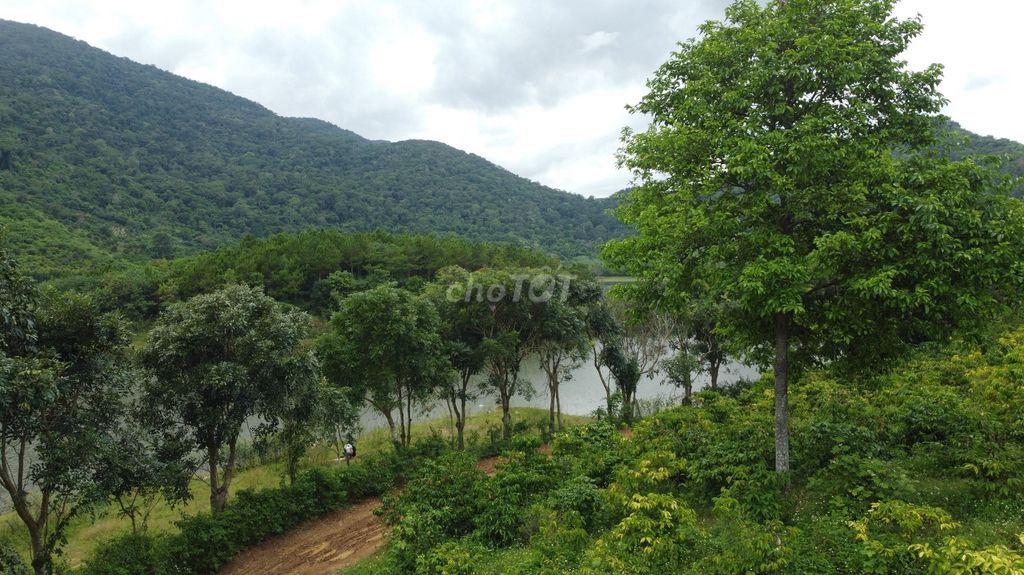 Cần sang lỗ 5983,5m2 đất mặt hồ di tích Hố Kè tại Krông Bông.