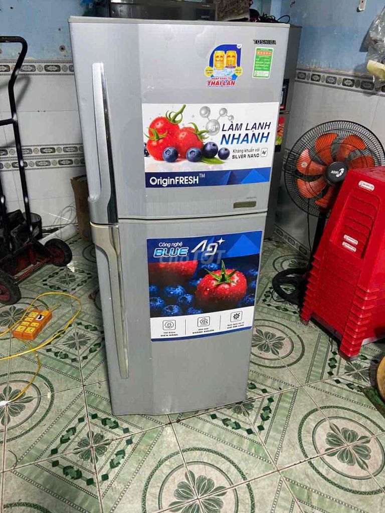 Tủ lạnh Toshiba 170 L. Mua bán Tủ lạnh tại Thành phố Dĩ An Bình Dương được đăng bởi Gia phát hình 1