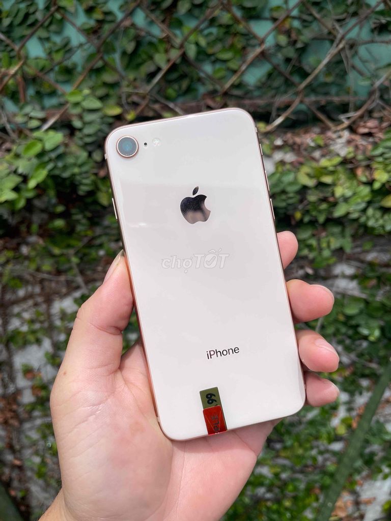 iPhone 8 64GB Vàng hồng. Mua bán Điện thoại tại Quận Ninh Kiều Cần Thơ được đăng bởi CỬA HÀNG BÃO MOBILE hình 1