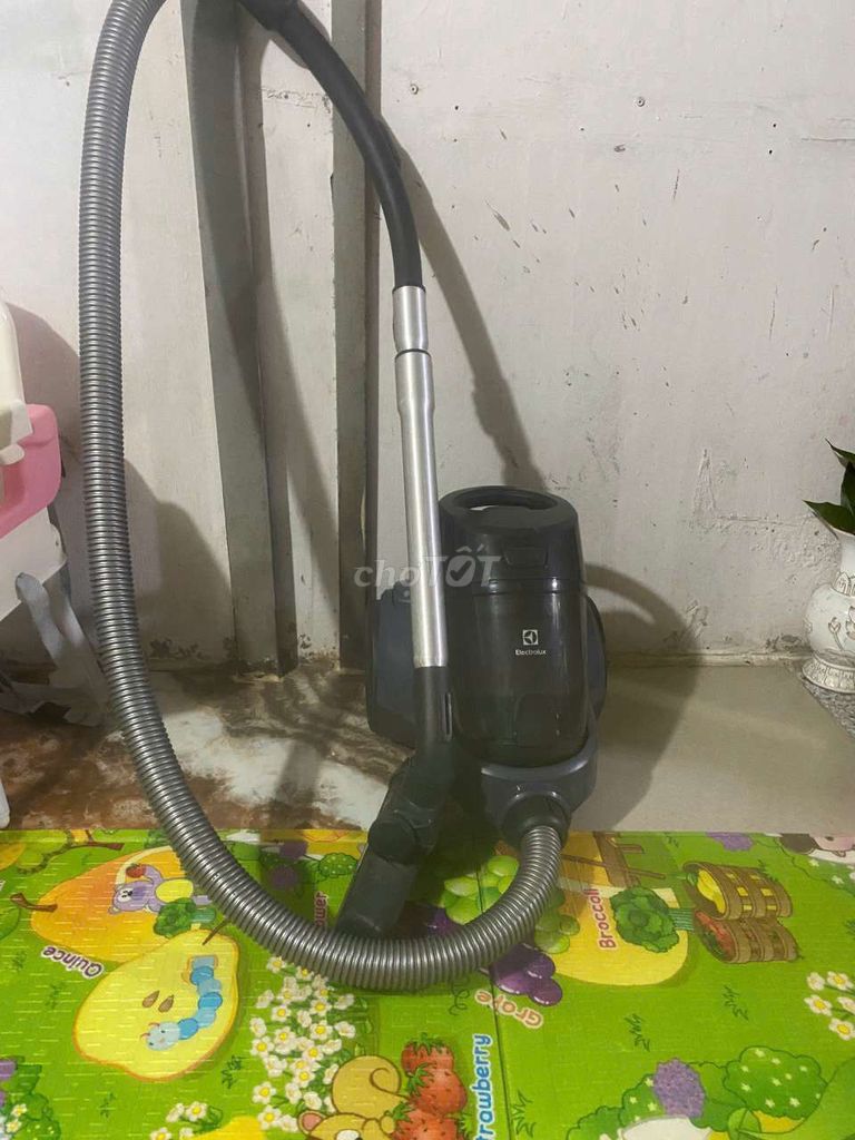 Máy hút bụi Electrolux