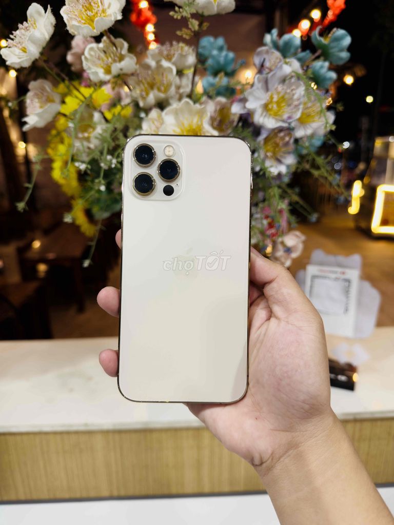 Apple iPhone 12 Pro 256GB Vàng. Mua bán Điện thoại tại Thị xã Phú Mỹ Bà Rịa - Vũng Tàu được đăng bởi Bi  hình 1