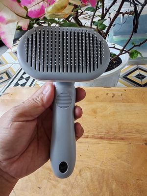 Lược chải lông thú cưng

Hàng Nhật về mới tinh. Mua bán Phụ kiện, Thức ăn, Dịch vụ tại Quận 7 Tp Hồ Chí Minh được đăng bởi Vy Vy