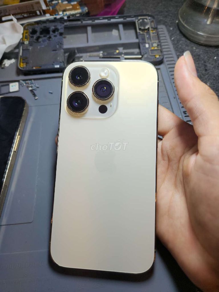 Apple iPhone 14 Pro Vàng 99%. Mua bán Điện thoại tại Thành phố Thuận An Bình Dương được đăng bởi Nguyễn Văn Đức hình 1