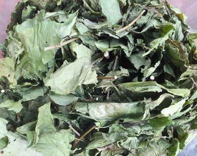 Bạch hoa xà khô. Mua bán Đồ ăn, thực phẩm và các loại khác tại Huyện Củ Chi Tp Hồ Chí Minh được đăng bởi Thảo dược nhà vườn