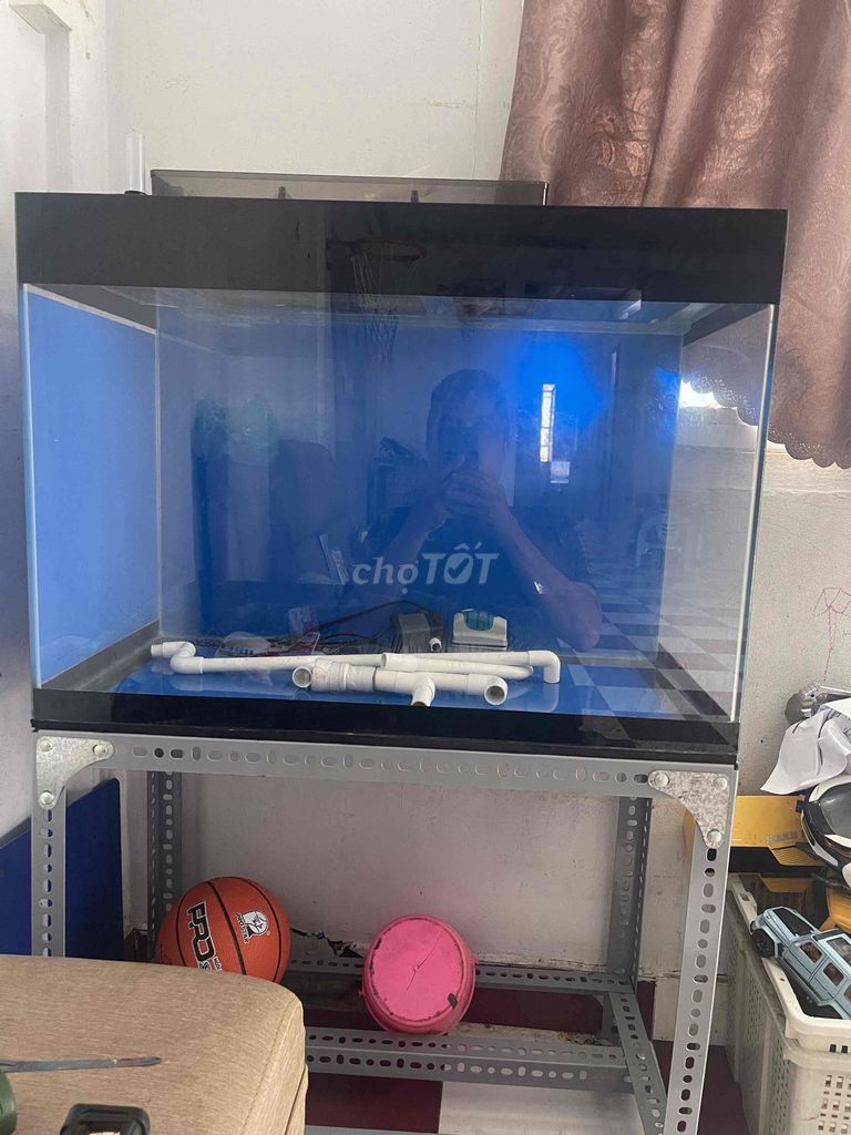 Hồ cá kính 70x50x30 cm đen kèm lọc. Mua bán Phụ kiện, Thức ăn, Dịch vụ tại Quận 3 Tp Hồ Chí Minh được đăng bởi Thanh hình 1