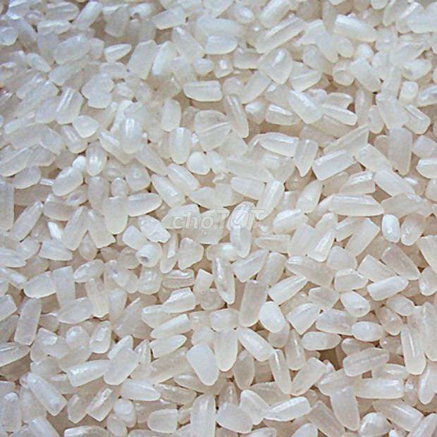 gạo thơm thái. Mua bán Đồ ăn, thực phẩm và các loại khác tại Quận 7 Tp Hồ Chí Minh được đăng bởi nguyễn trâm hình 1