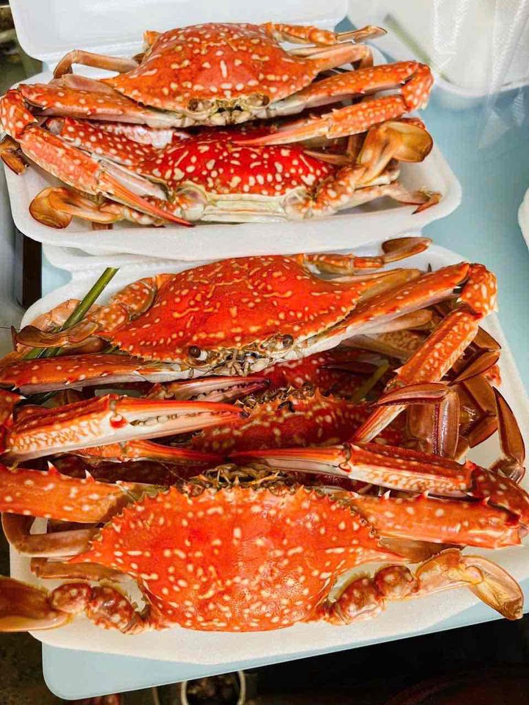 Ghẹ sống Bình Thuận. Mua bán Đồ ăn, thực phẩm và các loại khác tại Thành phố Thủ Đức Tp Hồ Chí Minh được đăng bởi Nguyễn Tấn Liêm hình 1