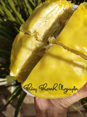 Bánh sầu riêng ngàn lớp nặng nửa ký lô. Mua bán Đồ ăn, thực phẩm và các loại khác tại Quận 12 Tp Hồ Chí Minh được đăng bởi Thùy Thanh Nguyễn 