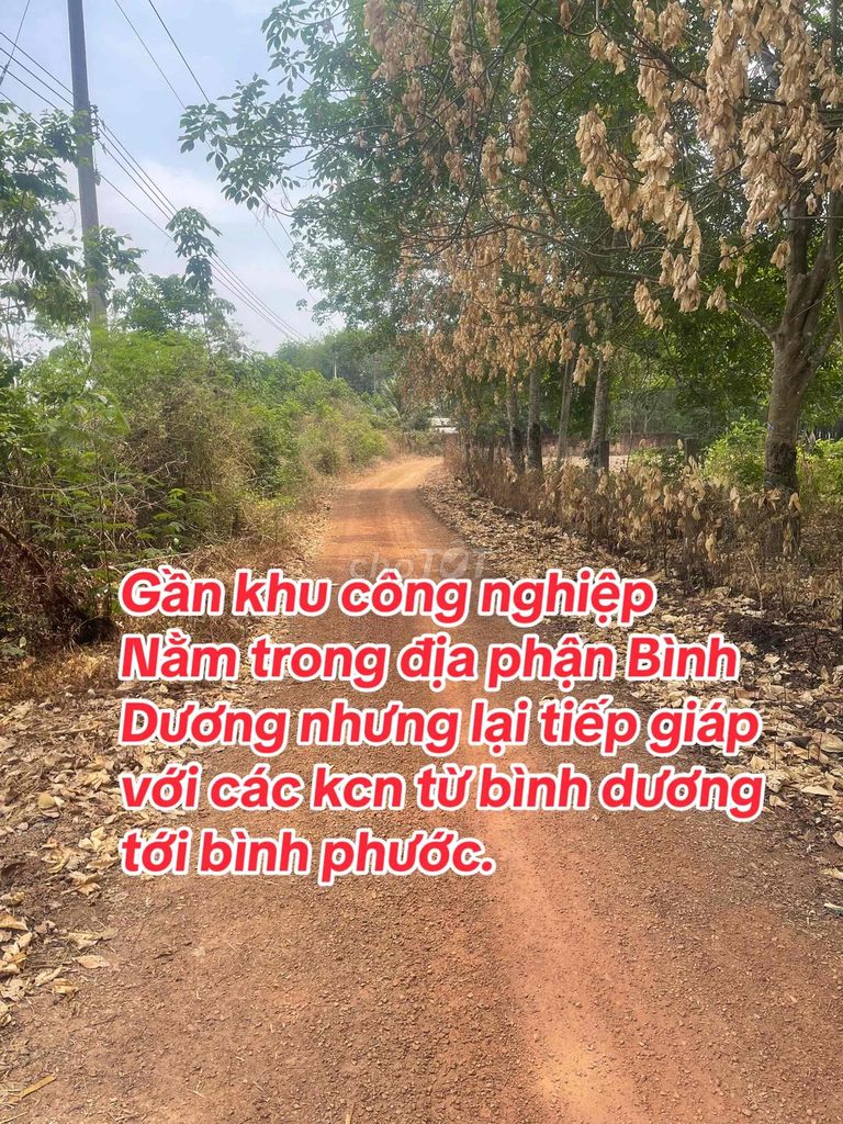 chính chủ cần bán 220m2 an bình phú giáo