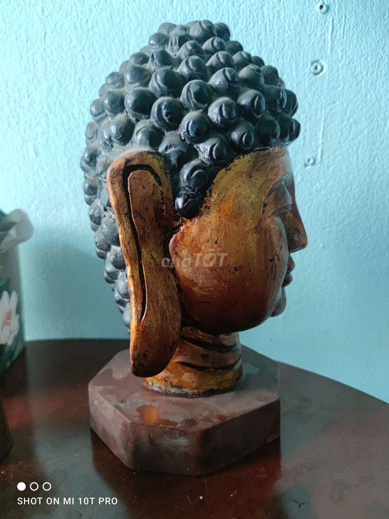 Đầu tượng Phật Gỗ sơn thiếp 30cm. Mua bán Đồ sưu tầm, đồ cổ tại Quận Tân Phú Tp Hồ Chí Minh được đăng bởi Trần Trung Trực hình 1