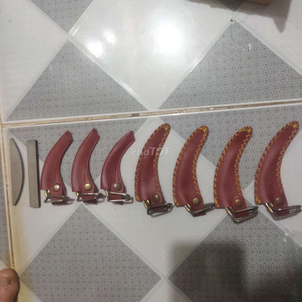 Phụ kiện gà chọi Da Đỏ. Mua bán Gà tại Quận Cái Răng Cần Thơ được đăng bởi Gà tre hình 1
